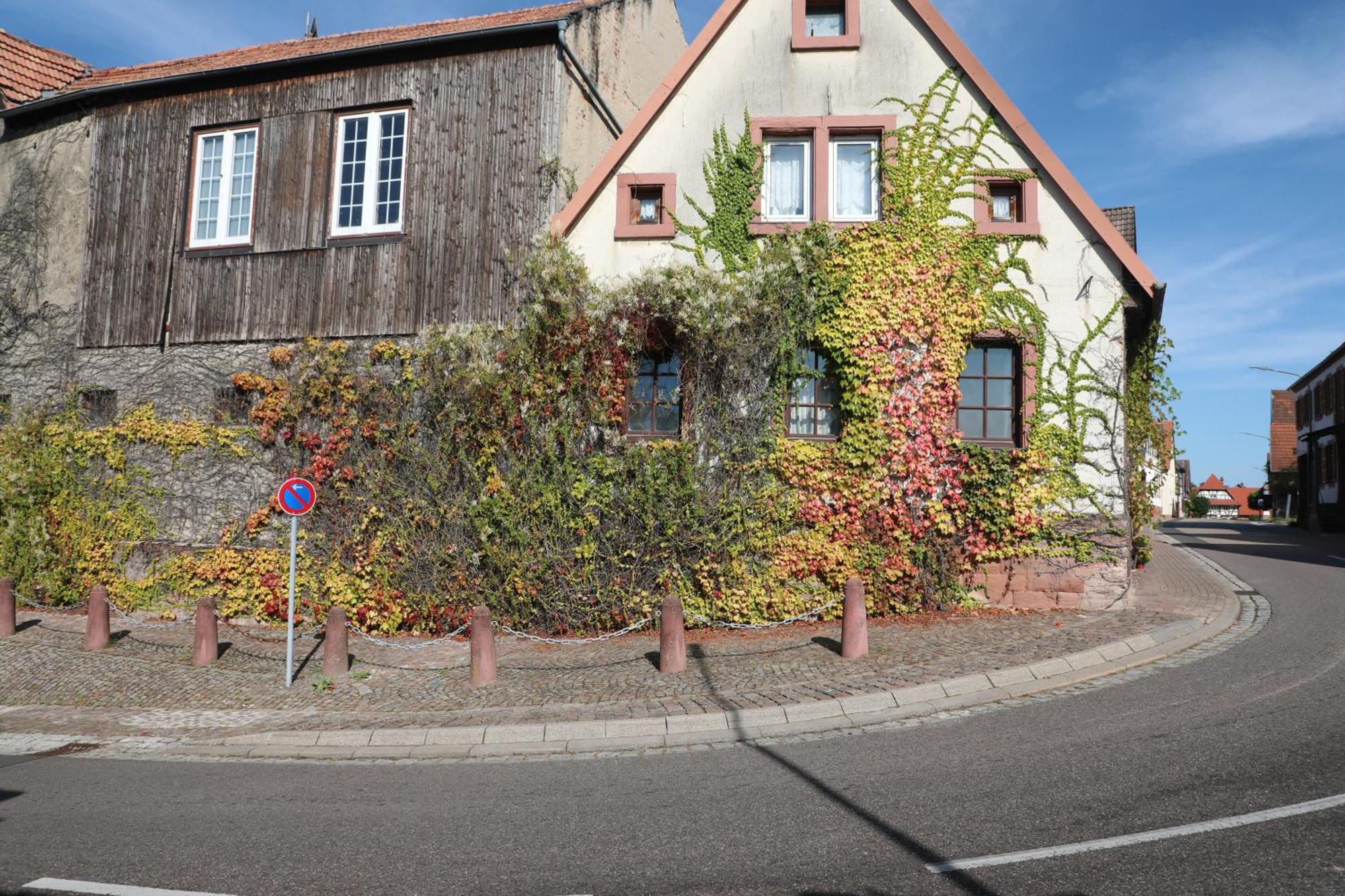 Suedpfalz Barbelroth Exterior foto